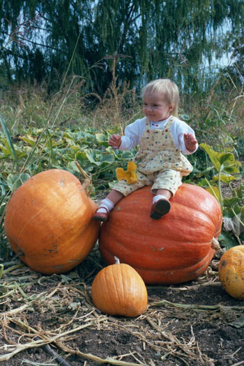 In the pumpkin patch